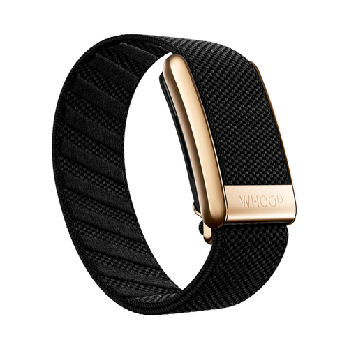 4.0 LuxeBand