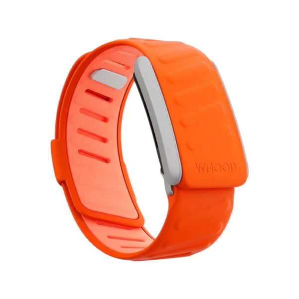 PHOTO-2024-09-21-19-29-52 (1) Sportsflex Bands