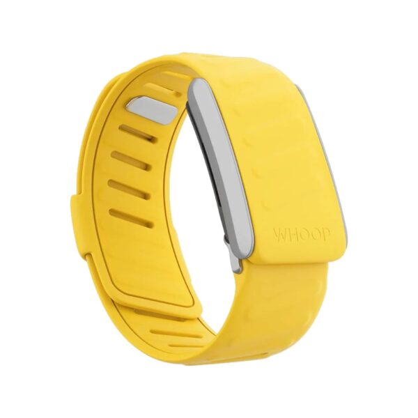 PHOTO-2024-09-21-19-29-53 (1) Sportsflex Bands