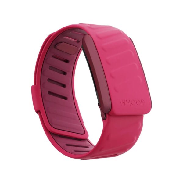 PHOTO-2024-09-21-19-29-53 (2) Sportsflex Bands