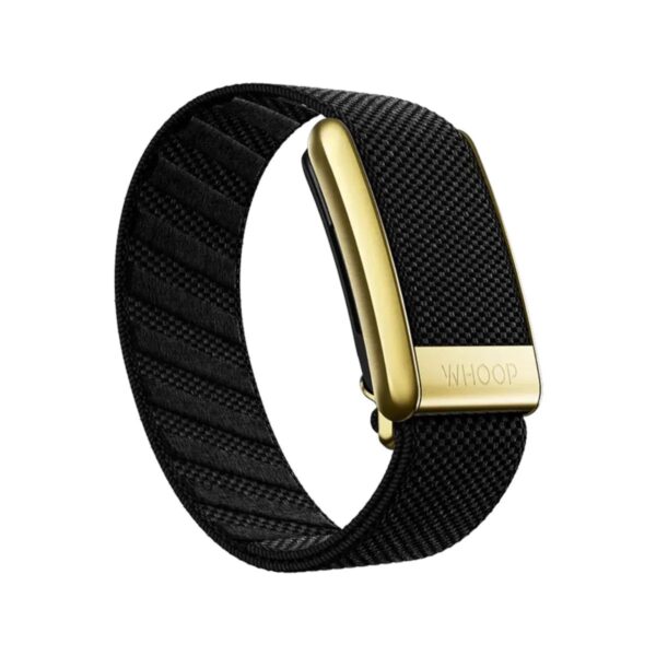 PHOTO-2024-09-21-19-29-54 (1) Luxe Bands
