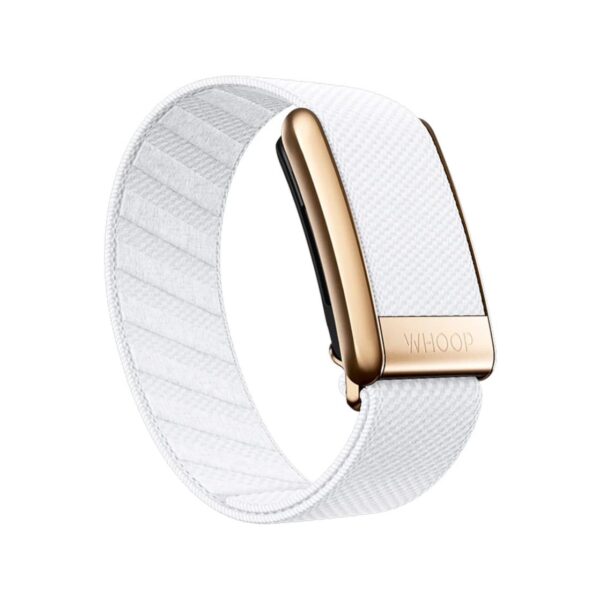 PHOTO-2024-09-21-19-29-54 Luxe Bands